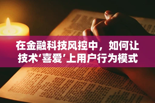 在金融科技风控中，如何让技术‘喜爱’上用户行为模式？