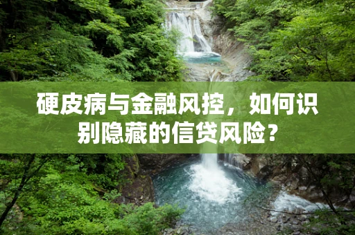 硬皮病与金融风控，如何识别隐藏的信贷风险？