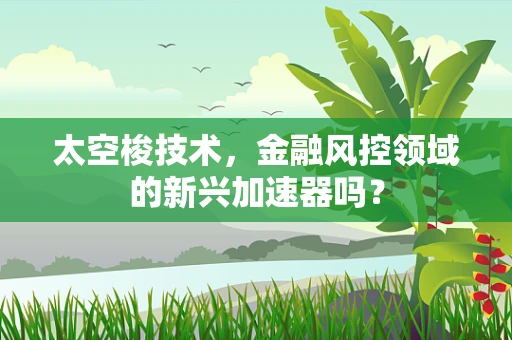 太空梭技术，金融风控领域的新兴加速器吗？