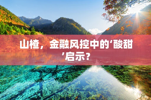 山楂，金融风控中的‘酸甜’启示？