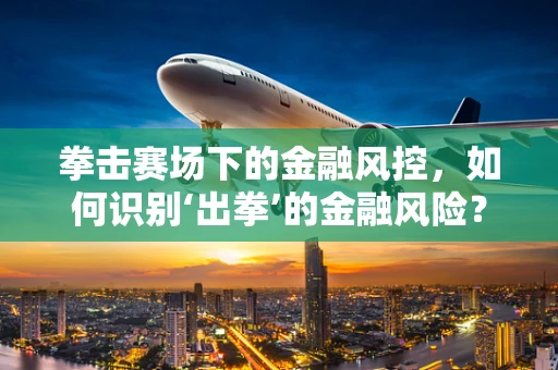 拳击赛场下的金融风控，如何识别‘出拳’的金融风险？
