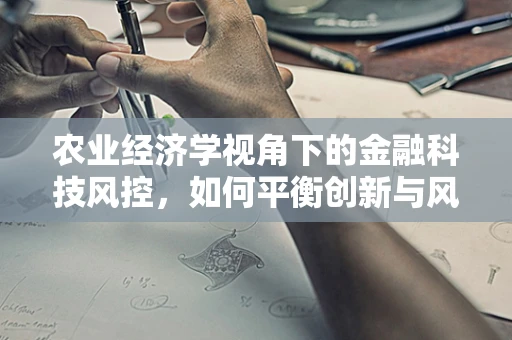 农业经济学视角下的金融科技风控，如何平衡创新与风险？