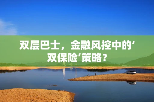 双层巴士，金融风控中的‘双保险’策略？
