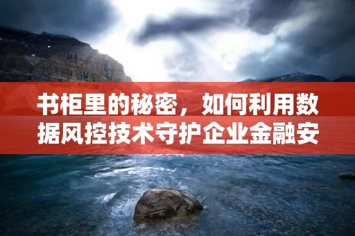 书柜里的秘密，如何利用数据风控技术守护企业金融安全？