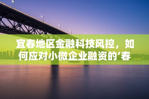 宜春地区金融科技风控，如何应对小微企业融资的‘春天’挑战？
