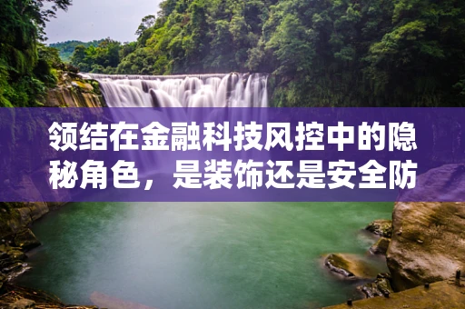 领结在金融科技风控中的隐秘角色，是装饰还是安全防线？