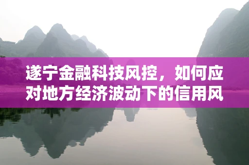 遂宁金融科技风控，如何应对地方经济波动下的信用风险？