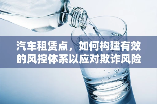 汽车租赁点，如何构建有效的风控体系以应对欺诈风险？