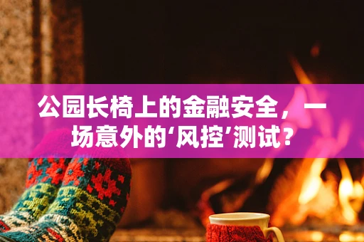公园长椅上的金融安全，一场意外的‘风控’测试？