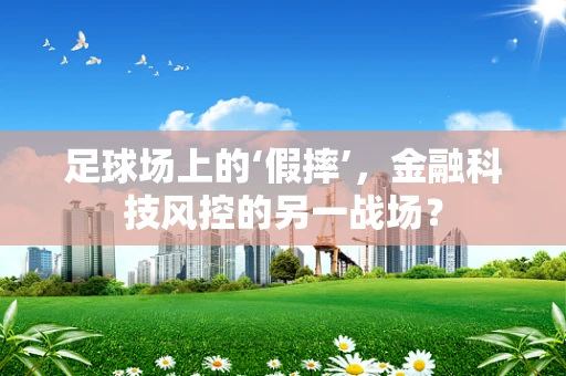 足球场上的‘假摔’，金融科技风控的另一战场？