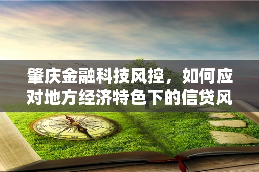 肇庆金融科技风控，如何应对地方经济特色下的信贷风险？