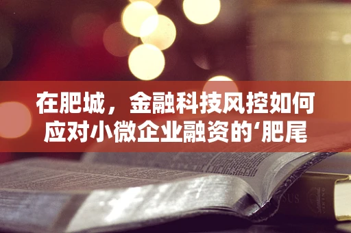 在肥城，金融科技风控如何应对小微企业融资的‘肥尾’现象？
