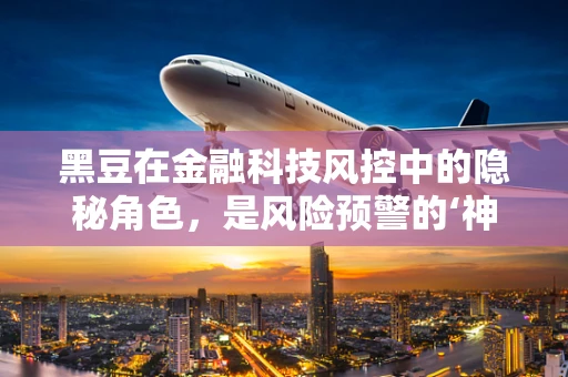 黑豆在金融科技风控中的隐秘角色，是风险预警的‘神秘豆’吗？