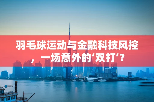 羽毛球运动与金融科技风控，一场意外的‘双打’？