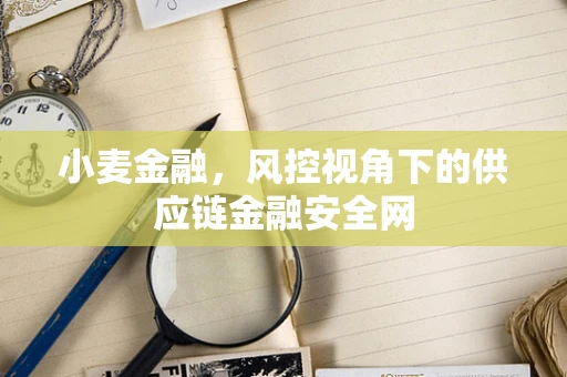 小麦金融，风控视角下的供应链金融安全网