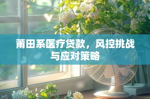 莆田系医疗贷款，风控挑战与应对策略