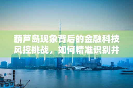 葫芦岛现象背后的金融科技风控挑战，如何精准识别并应对区域性风险？
