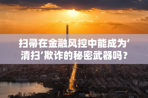 扫帚在金融风控中能成为‘清扫’欺诈的秘密武器吗？
