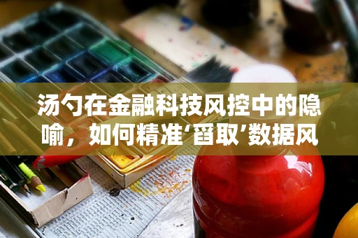汤勺在金融科技风控中的隐喻，如何精准‘舀取’数据风险？