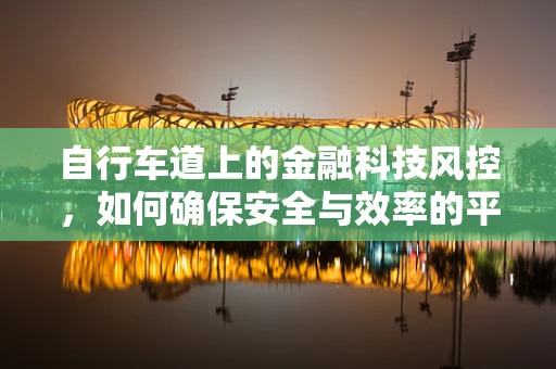 自行车道上的金融科技风控，如何确保安全与效率的平衡？
