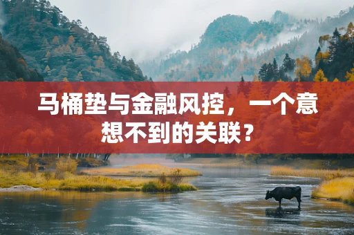 马桶垫与金融风控，一个意想不到的关联？