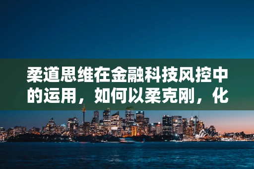 柔道思维在金融科技风控中的运用，如何以柔克刚，化解风险？