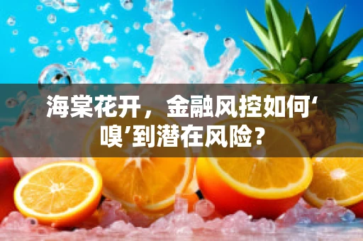 海棠花开，金融风控如何‘嗅’到潜在风险？