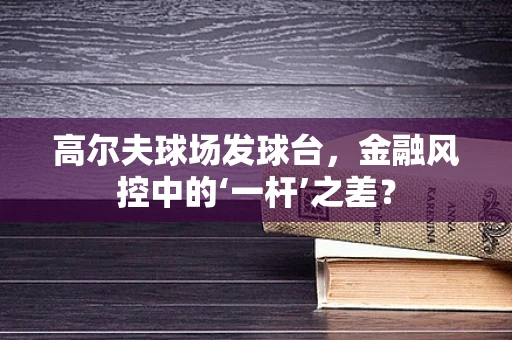 高尔夫球场发球台，金融风控中的‘一杆’之差？
