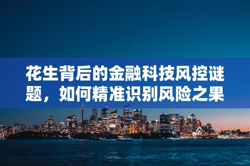 花生背后的金融科技风控谜题，如何精准识别风险之果？