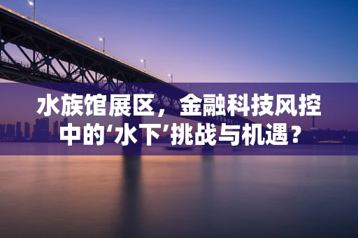 水族馆展区，金融科技风控中的‘水下’挑战与机遇？