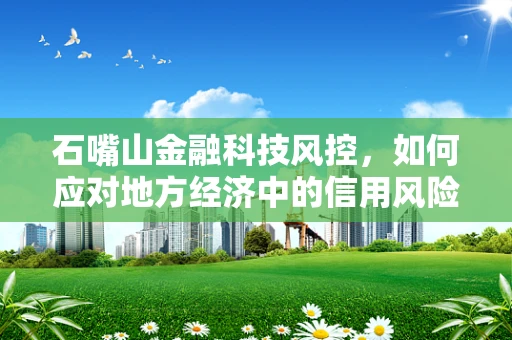 石嘴山金融科技风控，如何应对地方经济中的信用风险挑战？