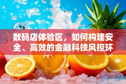 数码店体验区，如何构建安全、高效的金融科技风控环境？
