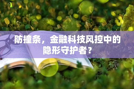 防撞条，金融科技风控中的隐形守护者？