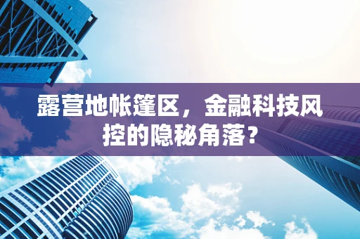 露营地帐篷区，金融科技风控的隐秘角落？