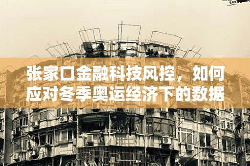 张家口金融科技风控，如何应对冬季奥运经济下的数据安全挑战？