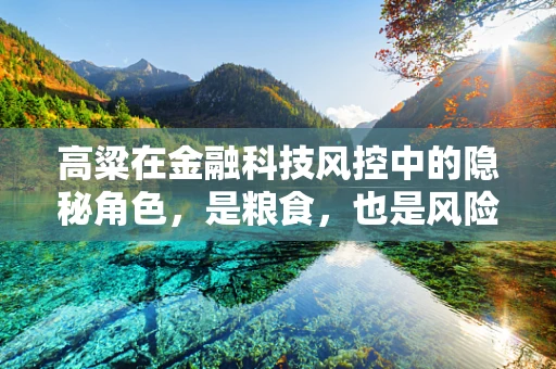 高粱在金融科技风控中的隐秘角色，是粮食，也是风险预警器？