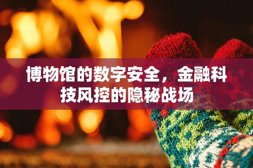 博物馆的数字安全，金融科技风控的隐秘战场