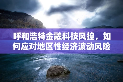 呼和浩特金融科技风控，如何应对地区性经济波动风险？