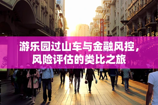 游乐园过山车与金融风控，风险评估的类比之旅