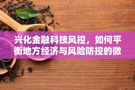 兴化金融科技风控，如何平衡地方经济与风险防控的微妙关系？