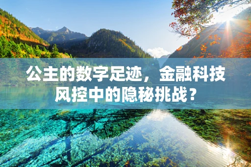 公主的数字足迹，金融科技风控中的隐秘挑战？