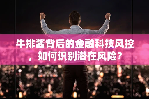 牛排酱背后的金融科技风控，如何识别潜在风险？