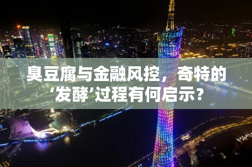 臭豆腐与金融风控，奇特的‘发酵’过程有何启示？