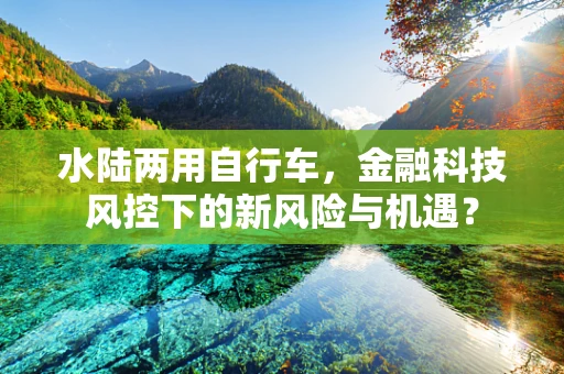 水陆两用自行车，金融科技风控下的新风险与机遇？