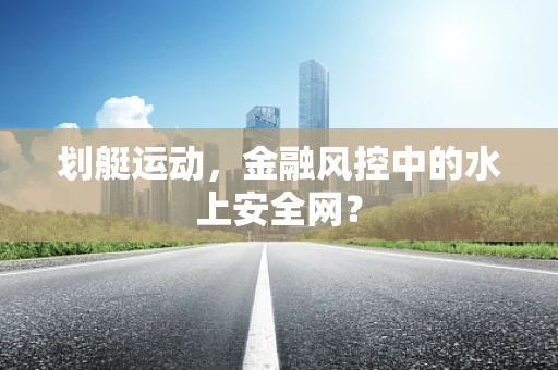 划艇运动，金融风控中的水上安全网？