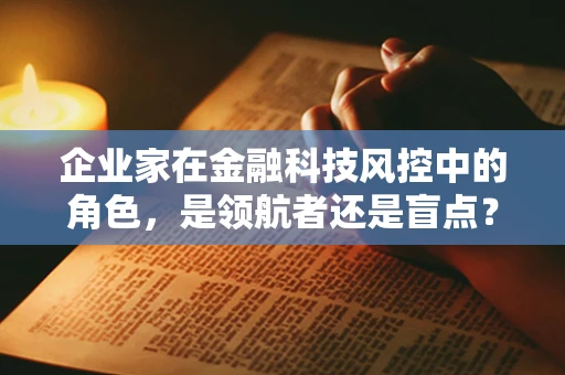 企业家在金融科技风控中的角色，是领航者还是盲点？