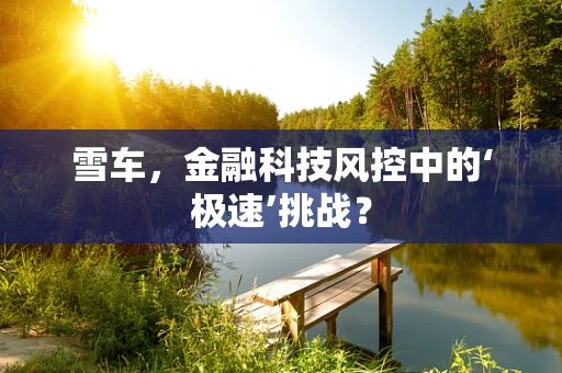 雪车，金融科技风控中的‘极速’挑战？
