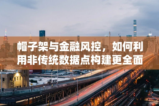 帽子架与金融风控，如何利用非传统数据点构建更全面的风险评估模型？