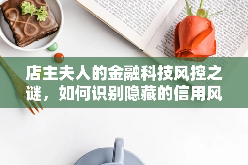 店主夫人的金融科技风控之谜，如何识别隐藏的信用风险？