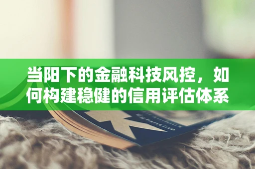 当阳下的金融科技风控，如何构建稳健的信用评估体系？